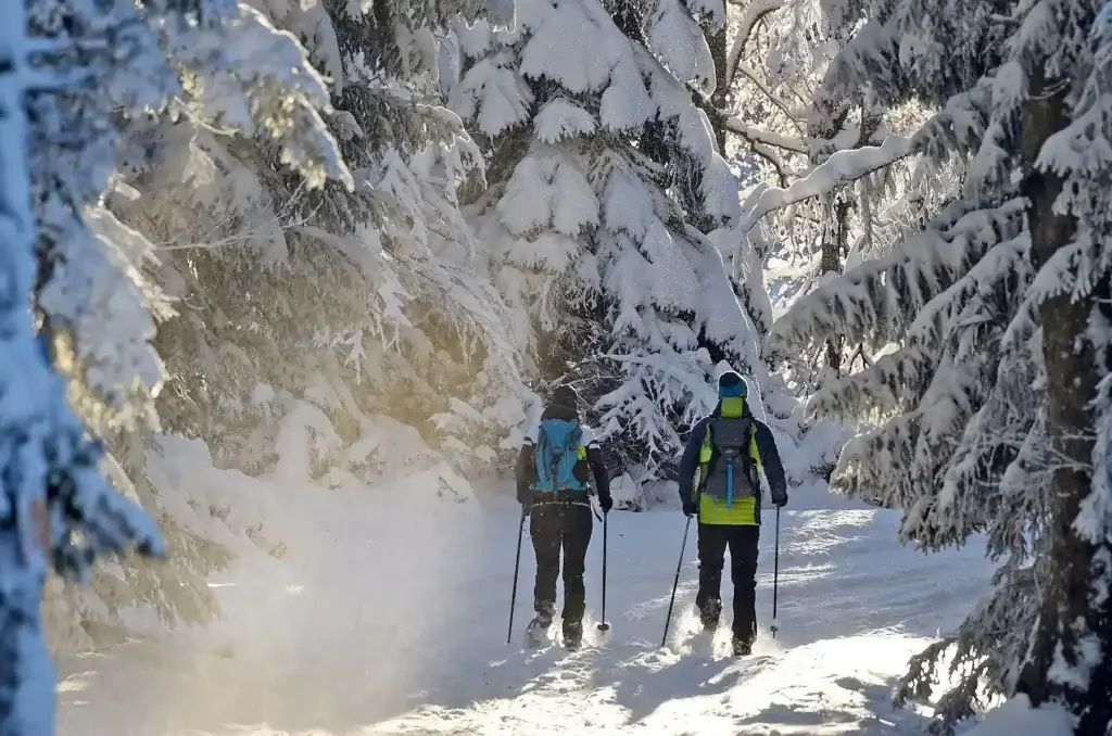 Valentine’s Day Sunset Snowshoe with Champagne